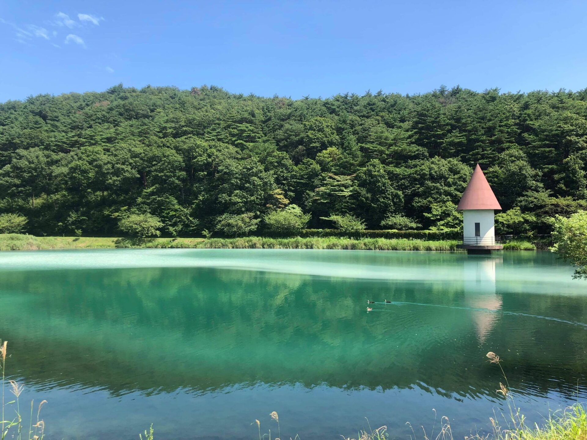 岳温泉 緑が池/鏡ヶ池